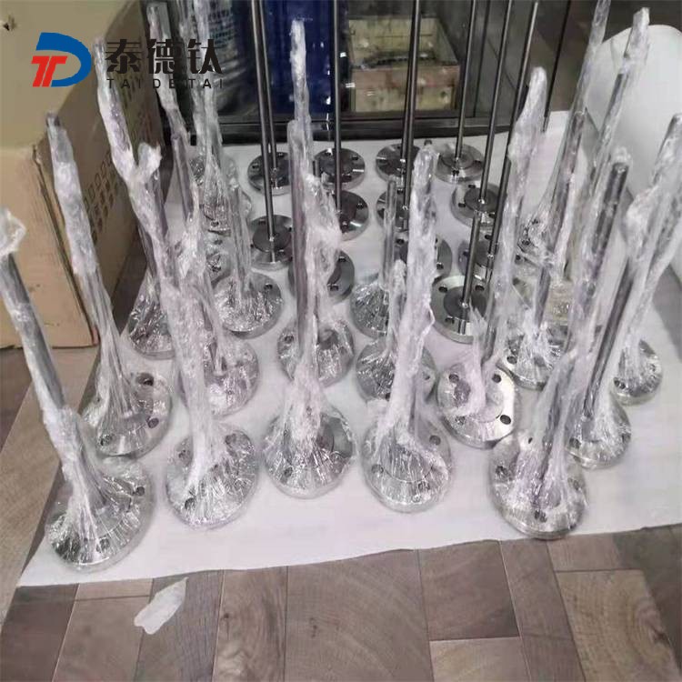 鉭保護(hù)管